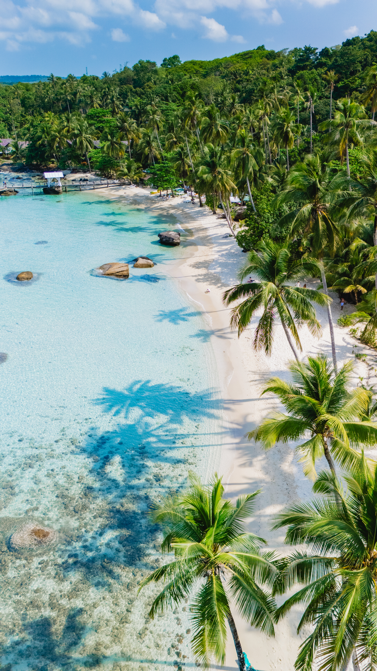 Beach Paradise