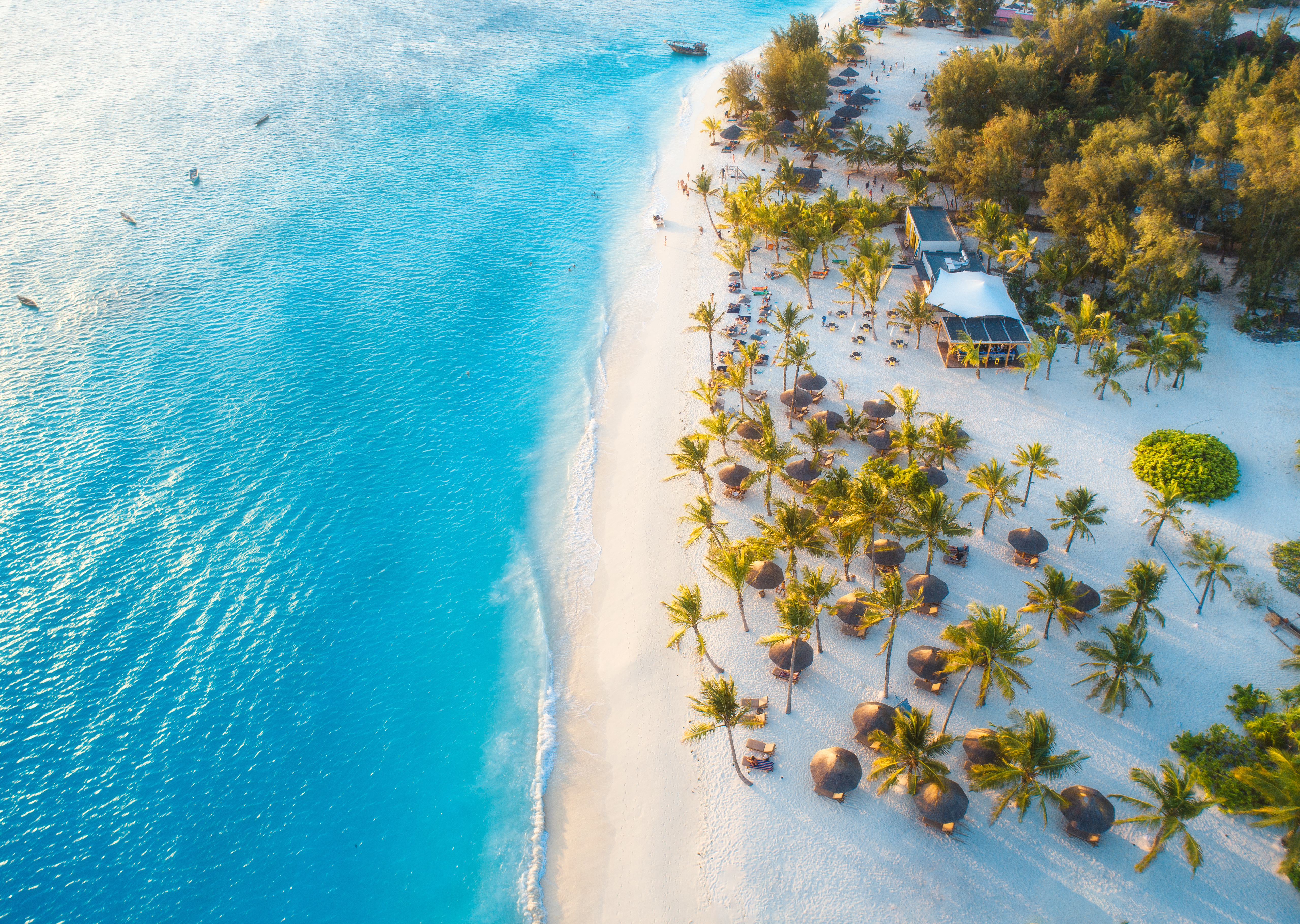 Zanzibar Offer