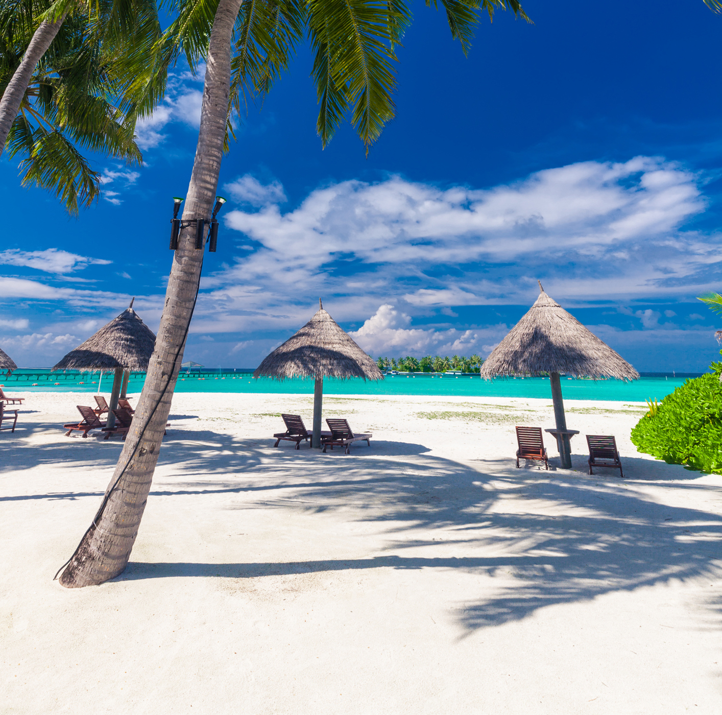 Beach Paradise