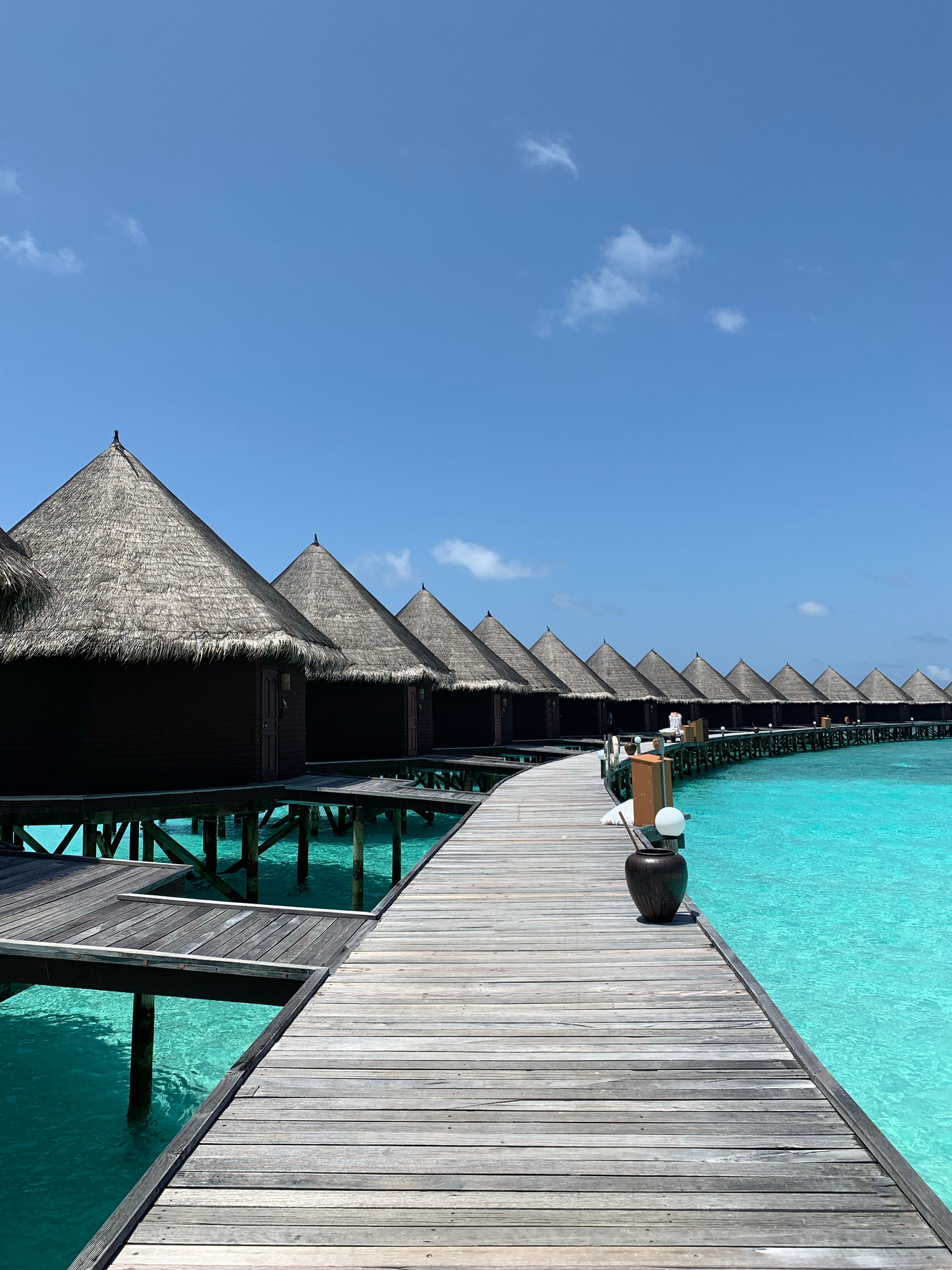 Maldive