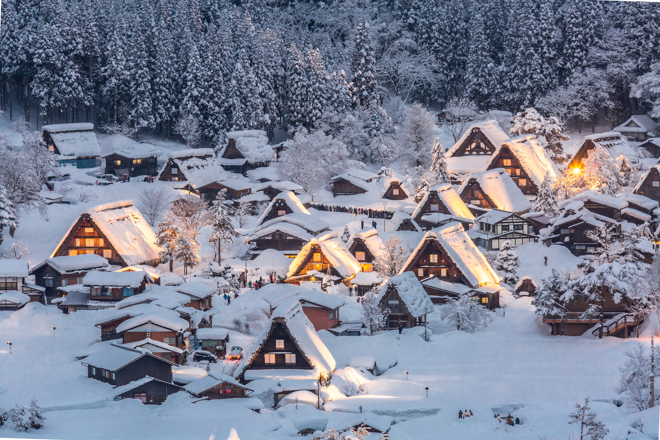 Winter Escape